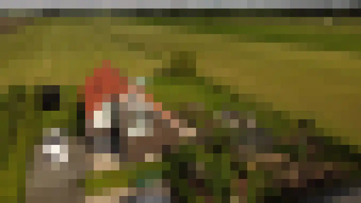 Leigraaf 14 G Klarenbeek thumbnail 45