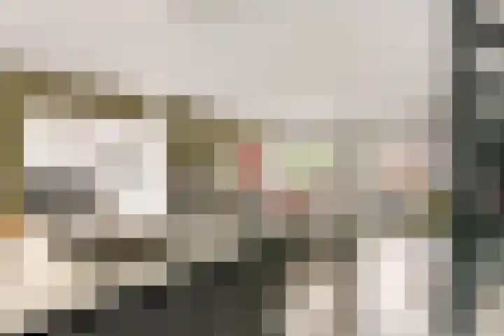 Leigraaf 158 Druten thumbnail 12