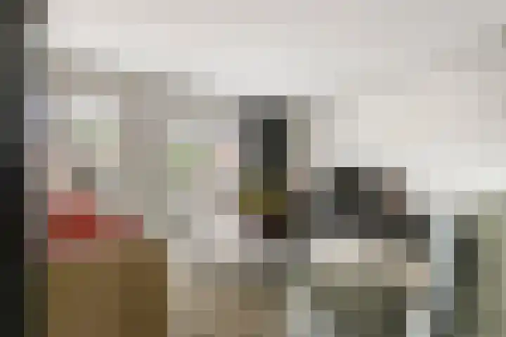 Leigraaf 158 Druten thumbnail 13