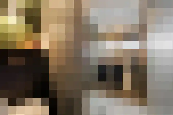 Leigraaf 158 Druten thumbnail 22