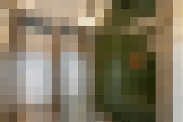Leigraaf 158 Druten thumbnail 23