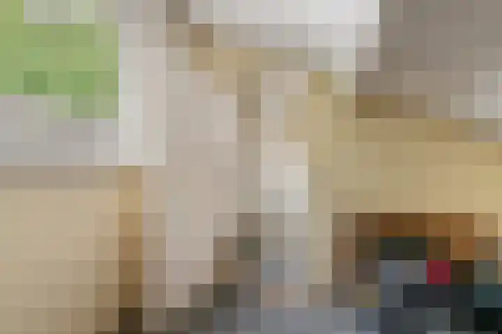Leigraaf 158 Druten thumbnail 32