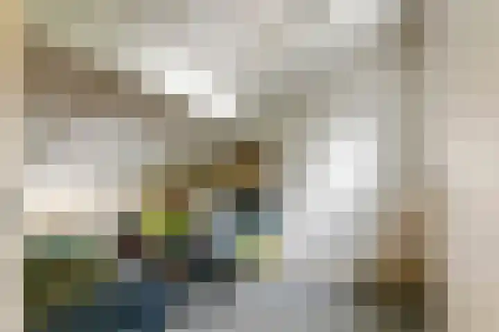 Leigraaf 158 Druten thumbnail 33