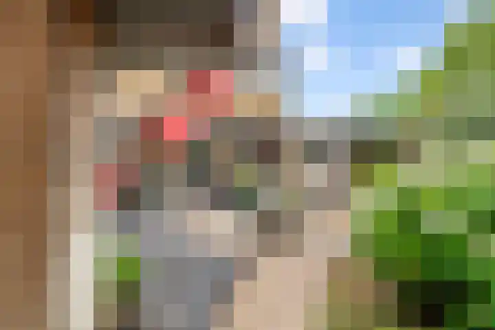 Leigraaf 158 Druten thumbnail 40