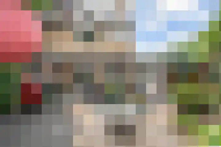Leigraaf 158 Druten thumbnail 42