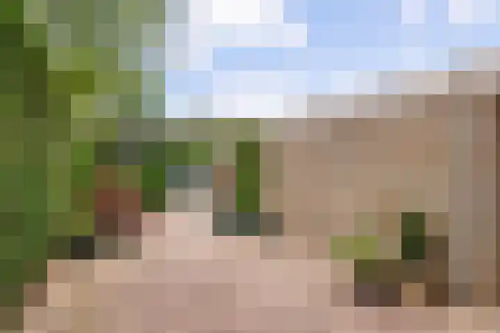 Leigraaf 158 Druten thumbnail 43