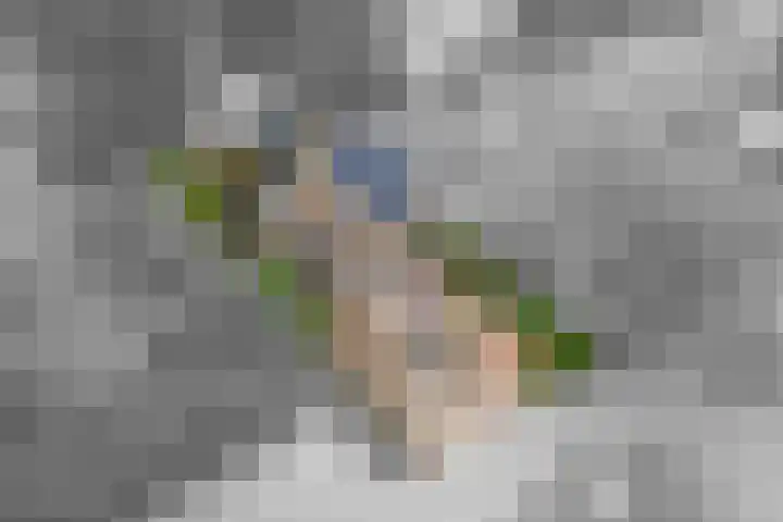 Leigraaf 158 Druten thumbnail 46