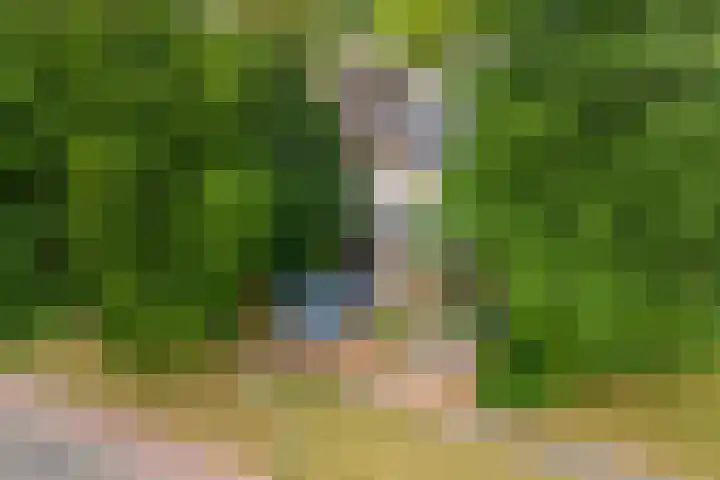 Leigraaf 158 Druten thumbnail 47