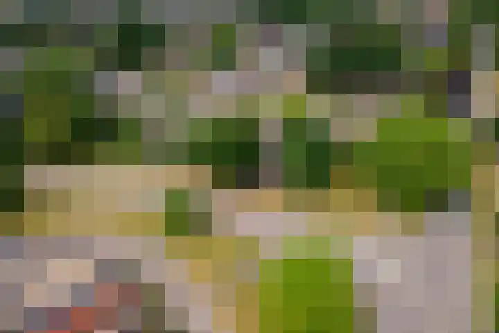 Leigraaf 158 Druten thumbnail 48
