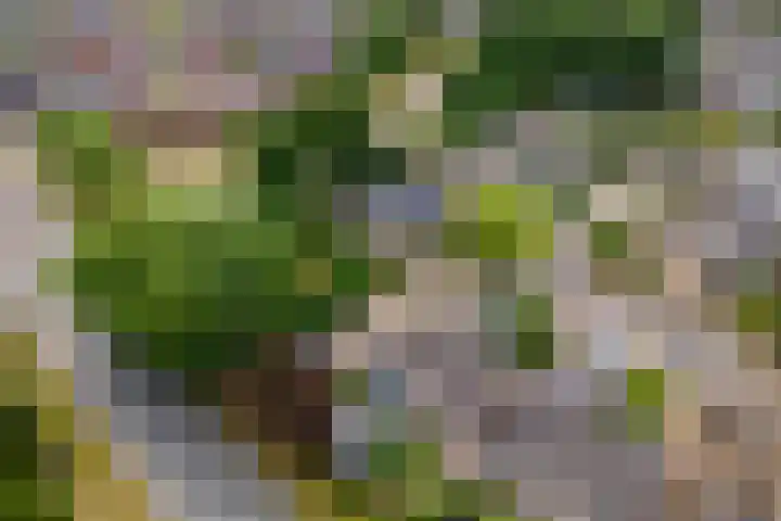 Leigraaf 158 Druten thumbnail 49