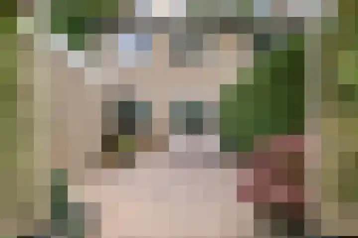 Leigraaf 158 Druten thumbnail 5