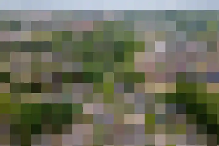 Leigraaf 158 Druten thumbnail 50