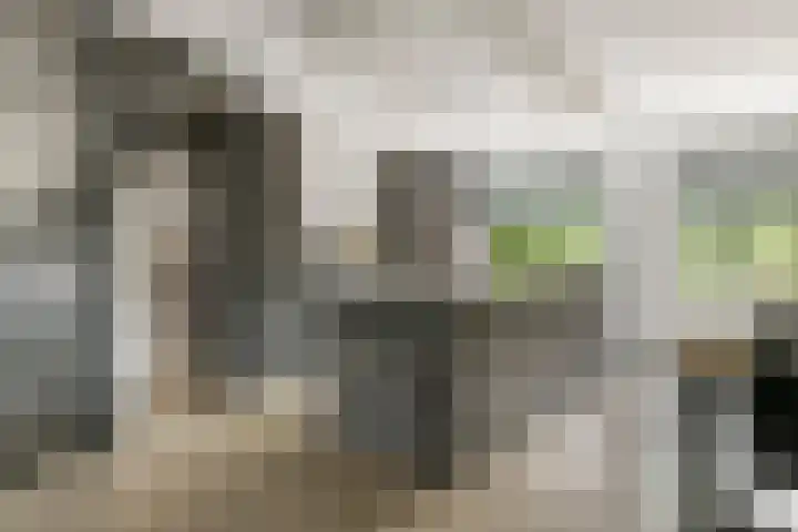 Leigraaf 158 Druten thumbnail 6