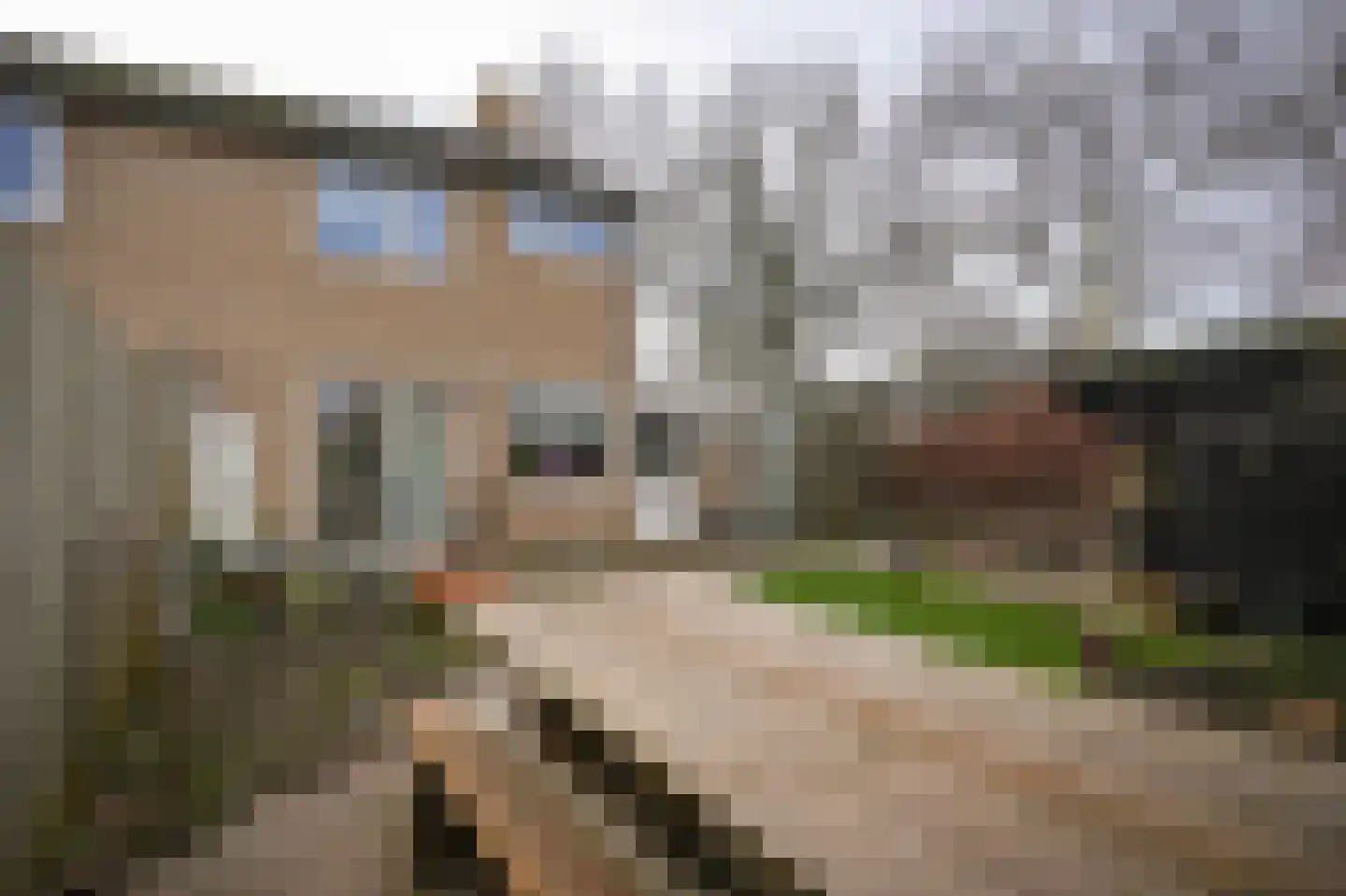 Leigraaf 170 Druten thumbnail 39