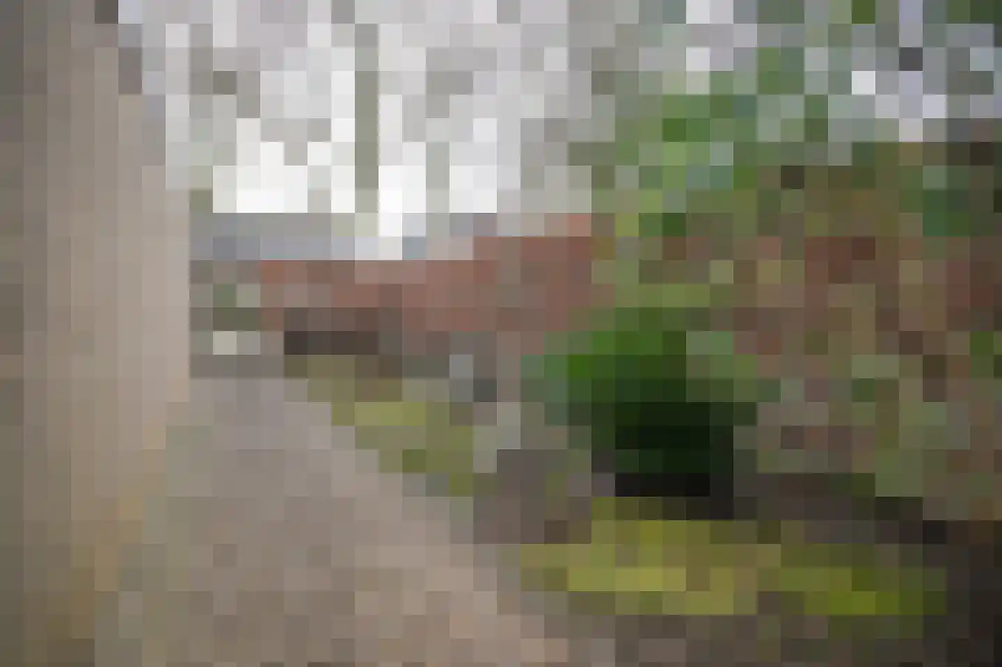 Leigraaf 170 Druten thumbnail 44