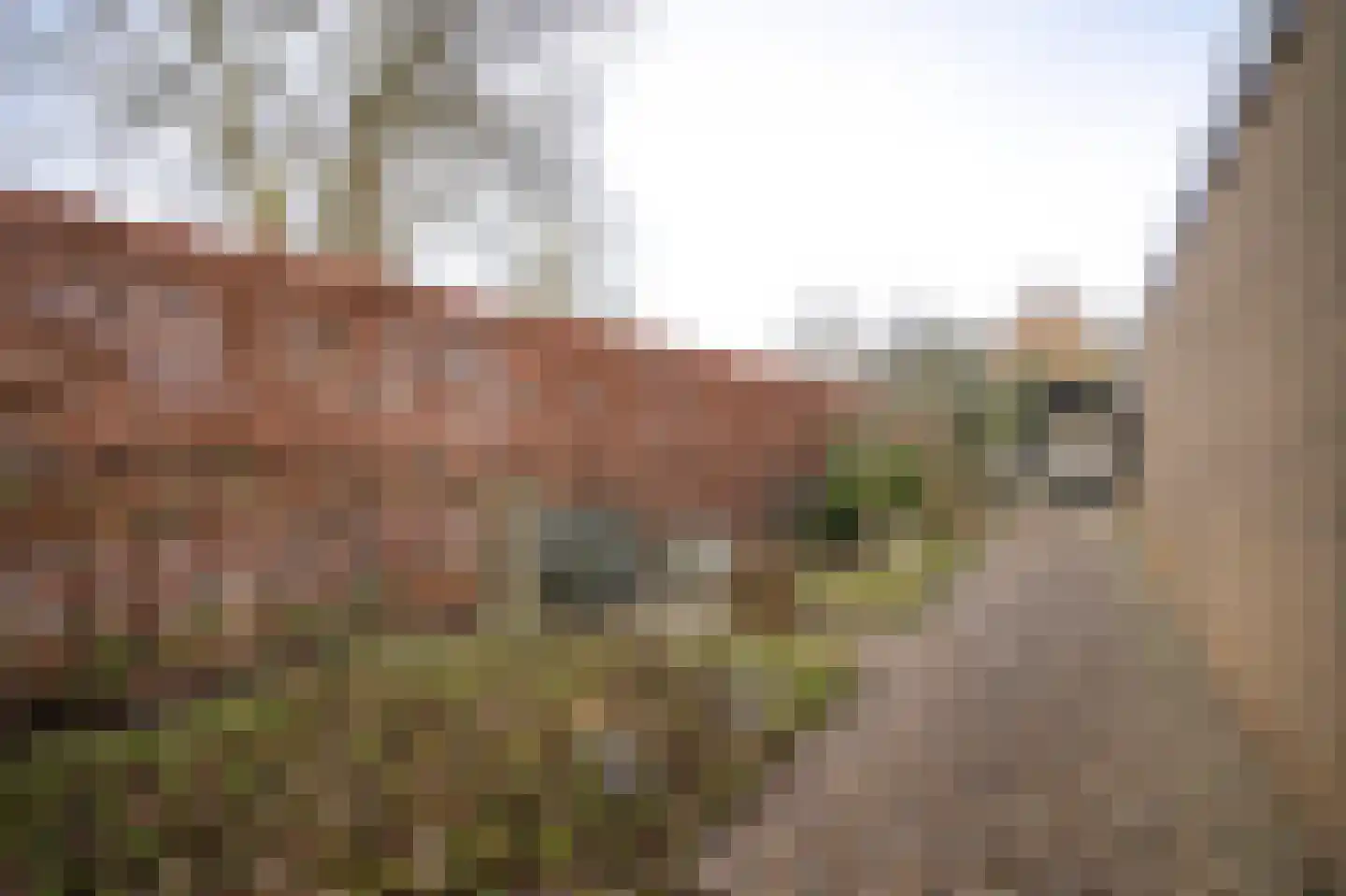 Leigraaf 170 Druten thumbnail 45