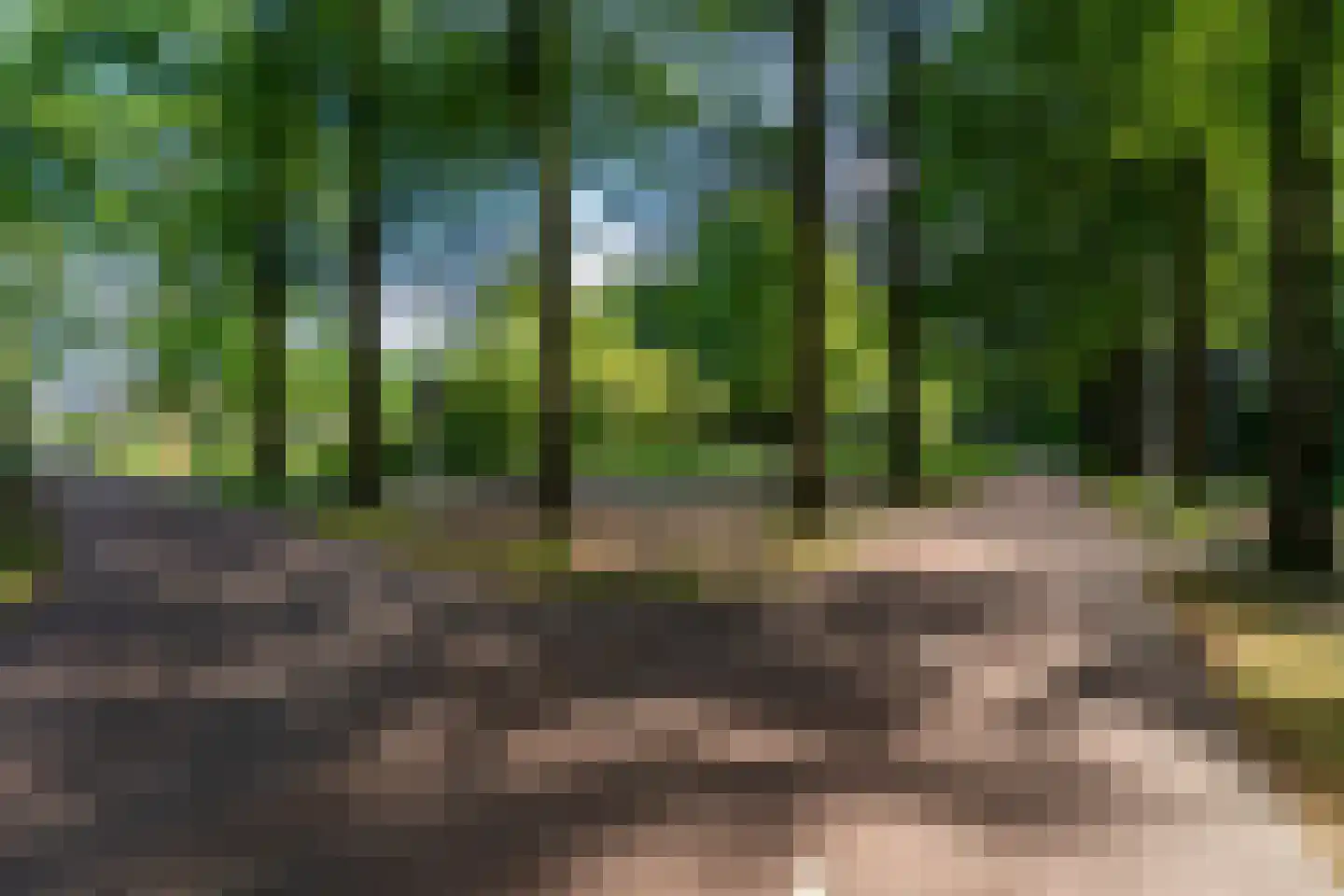 Leigraaf 18 Tilburg thumbnail 101