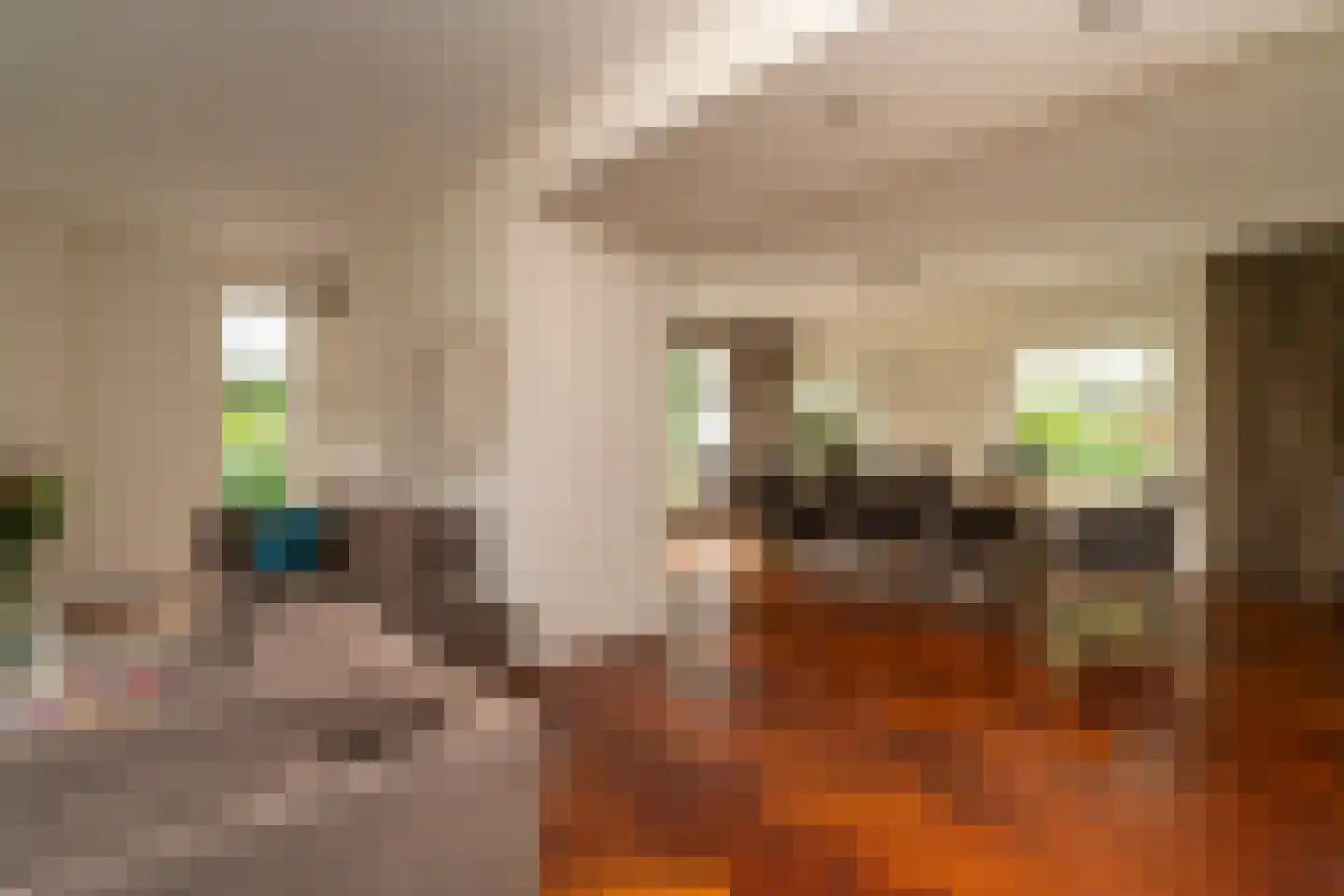 Leigraaf 18 Tilburg thumbnail 17