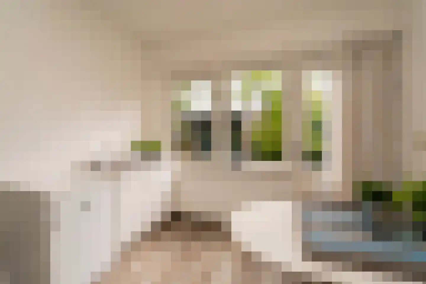 Leigraaf 18 Tilburg thumbnail 29