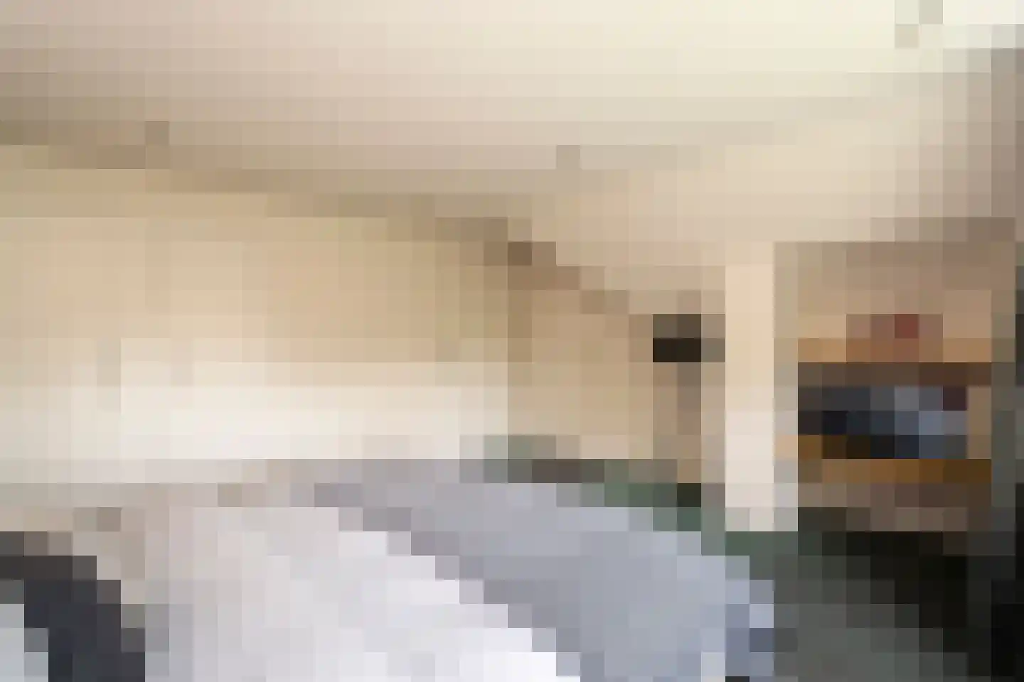 Leigraaf 18 Tilburg thumbnail 38