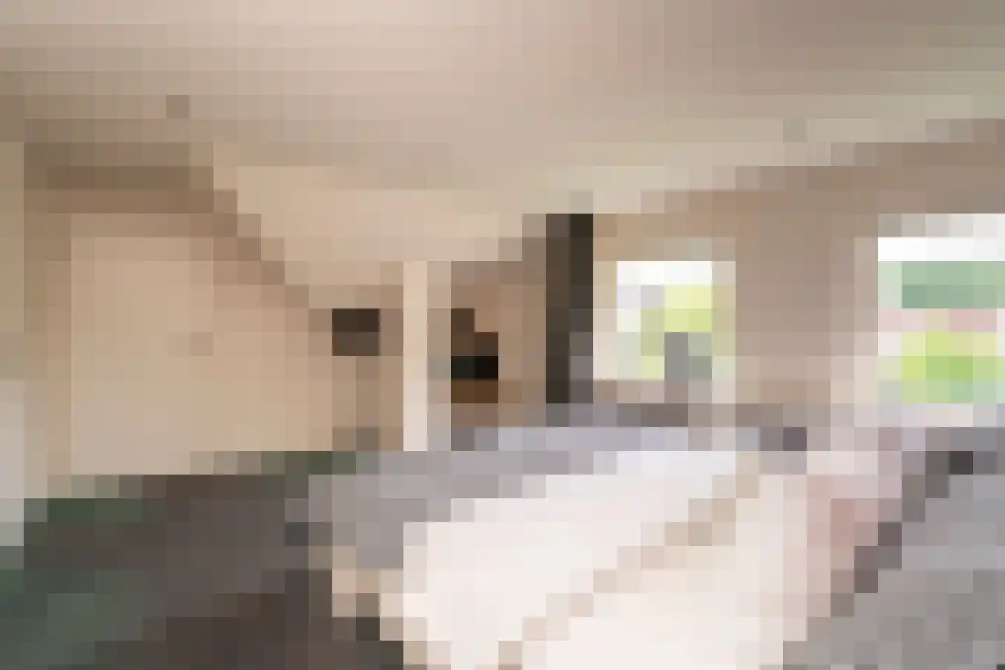 Leigraaf 18 Tilburg thumbnail 39