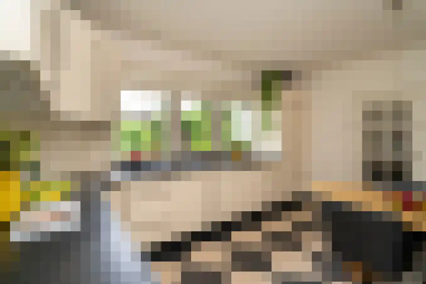 Leigraaf 18 Tilburg thumbnail 5
