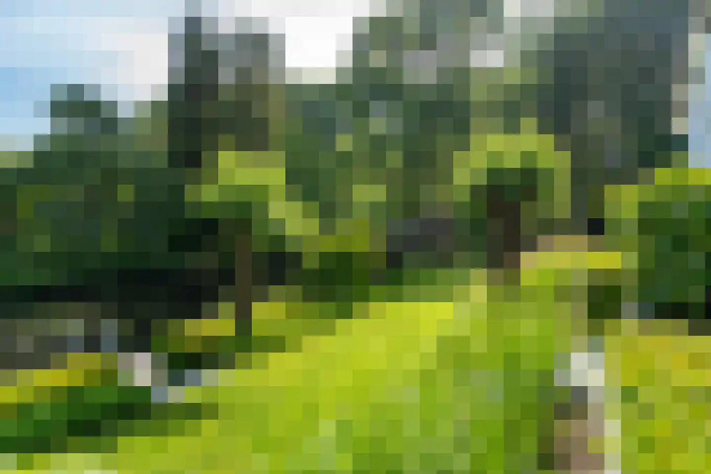 Leigraaf 18 Tilburg thumbnail 79