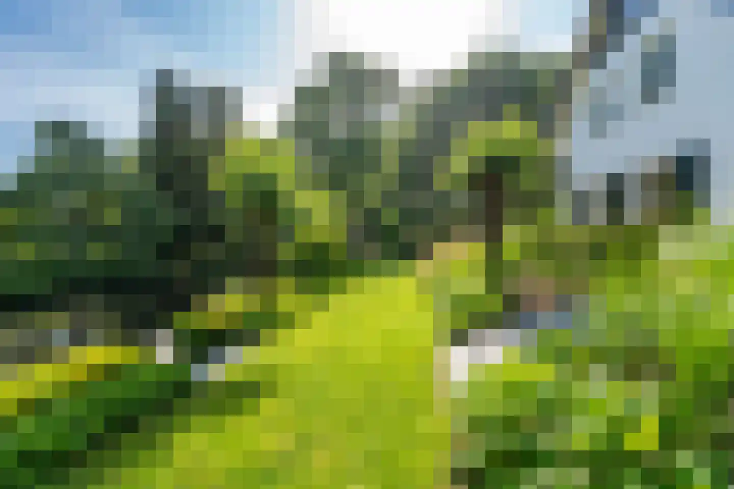 Leigraaf 18 Tilburg thumbnail 80