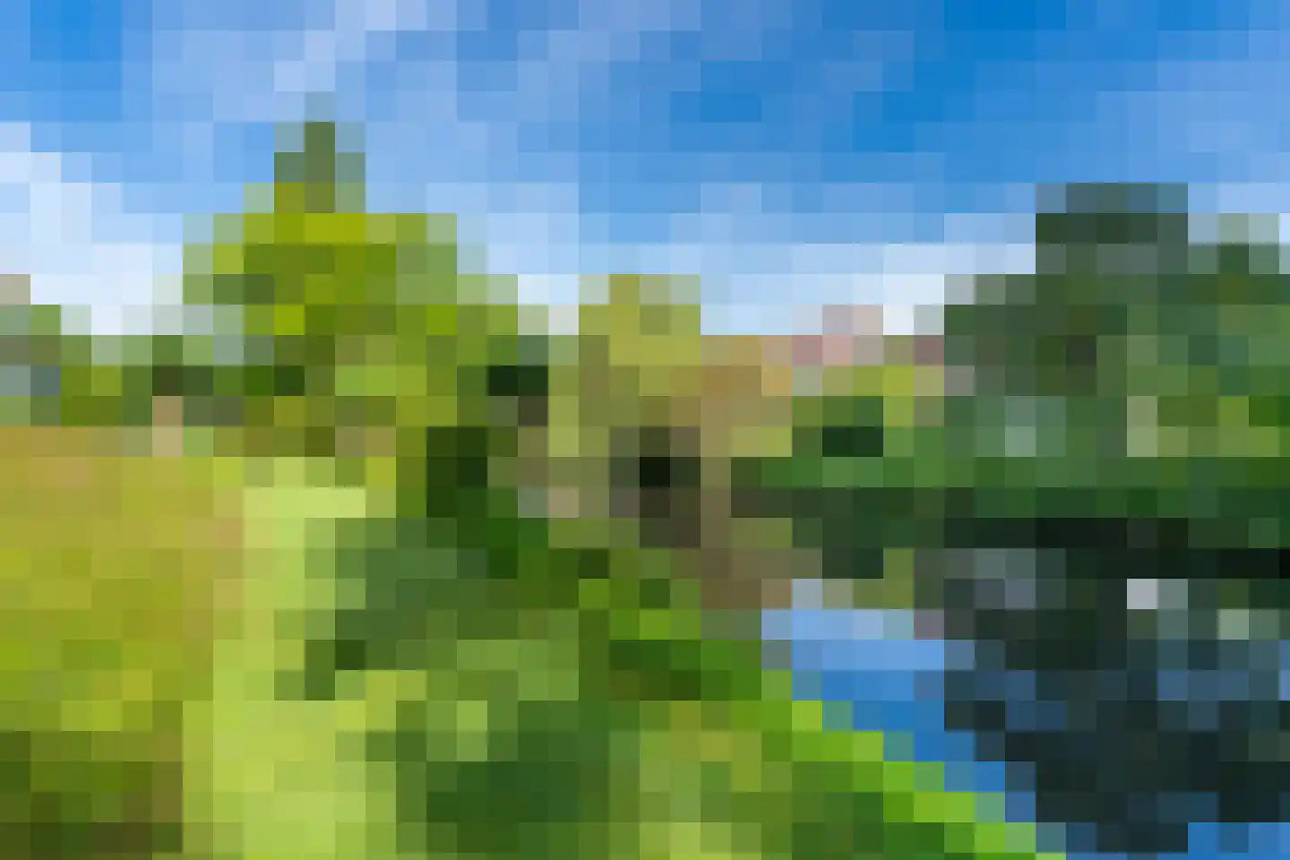 Leigraaf 18 Tilburg thumbnail 85