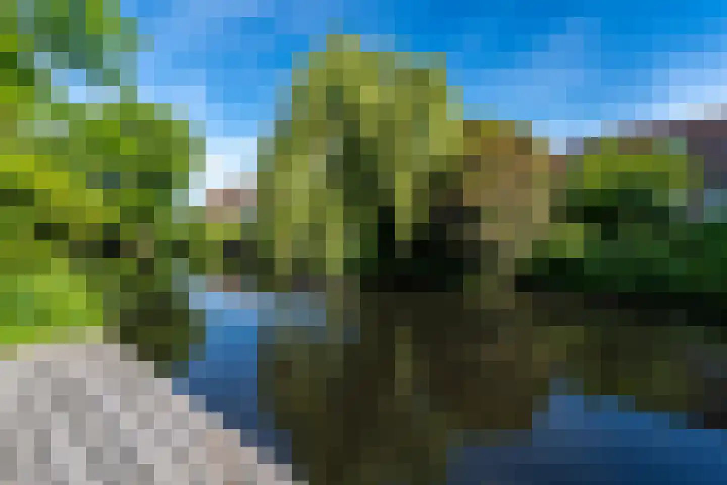 Leigraaf 18 Tilburg thumbnail 86