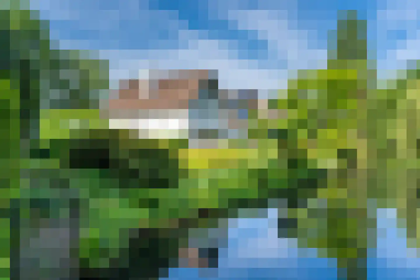 Leigraaf 18 Tilburg thumbnail 87