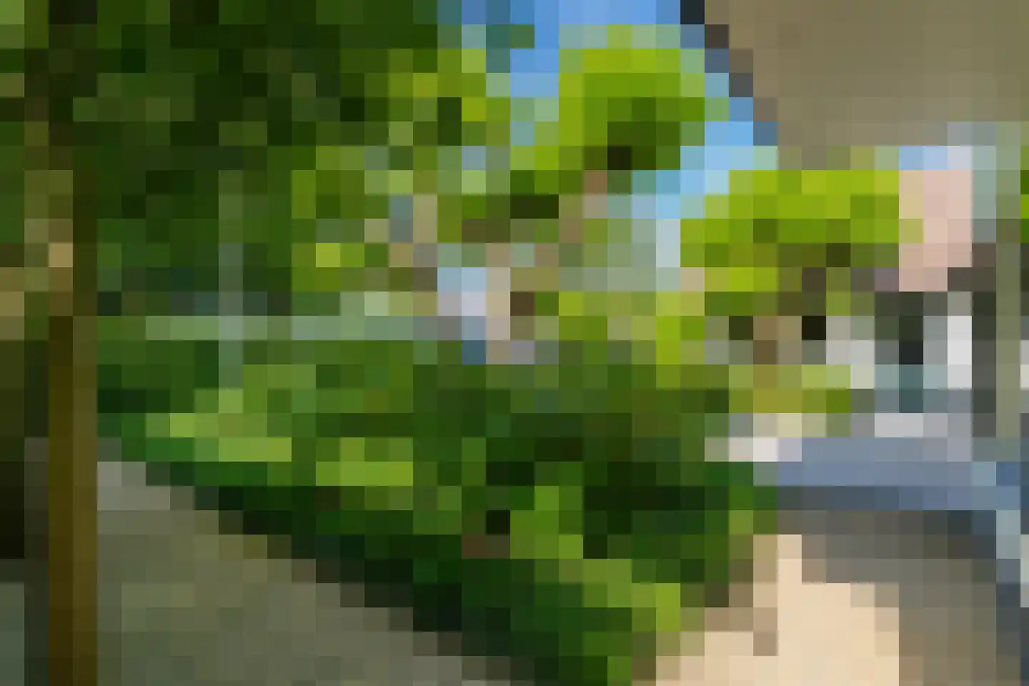 Leigraaf 18 Tilburg thumbnail 93