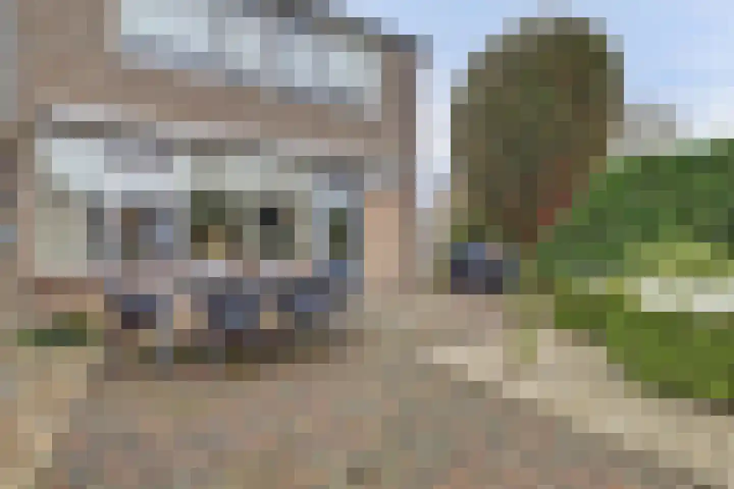 Leigraaf 30 Druten thumbnail 30