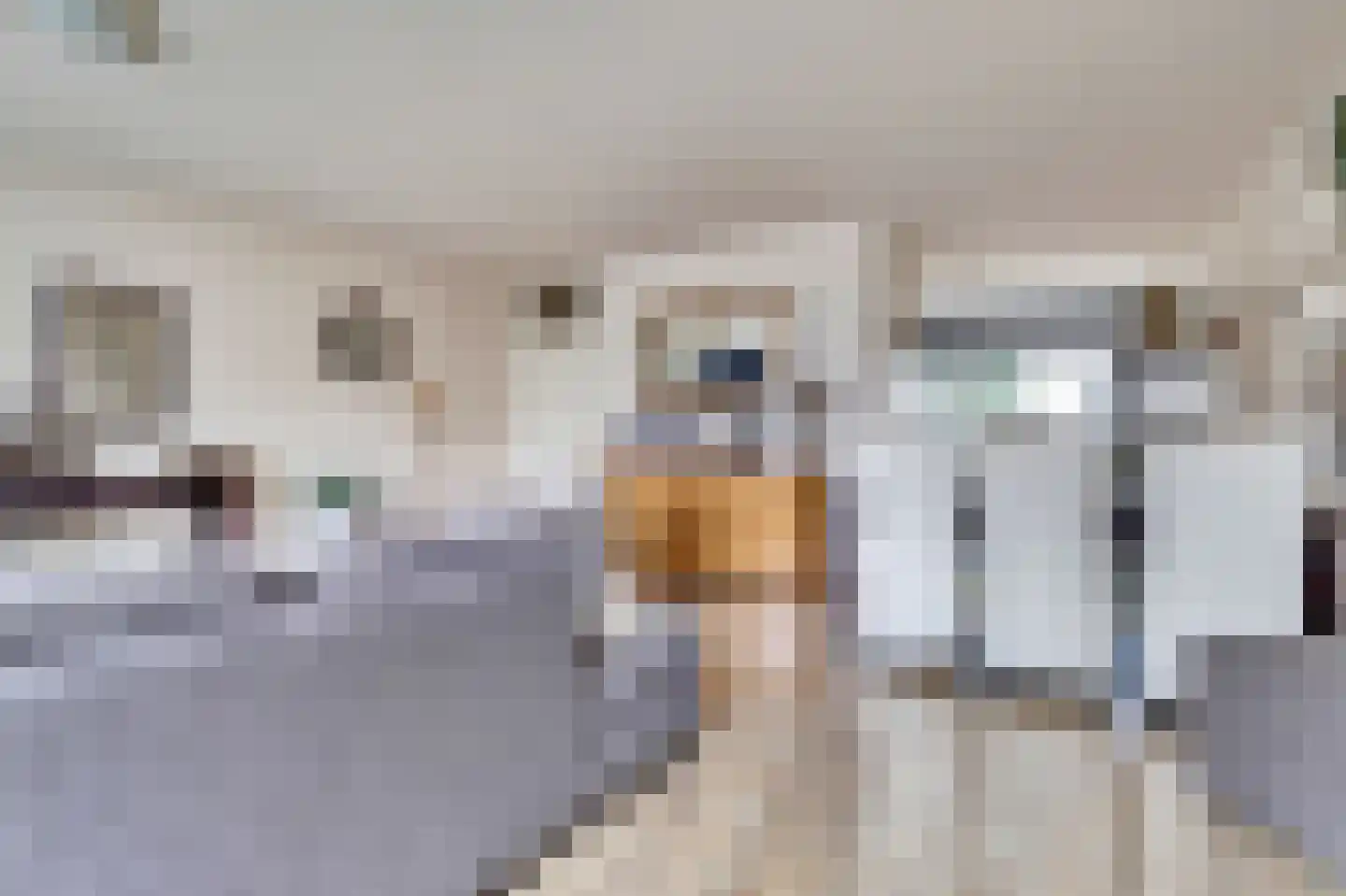 Leigraaf 30 Druten thumbnail 5