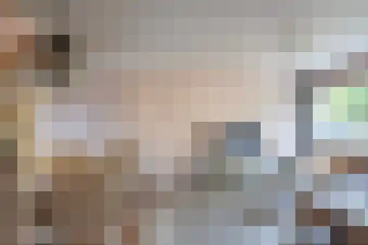 Leigraaf 41 Druten thumbnail 10
