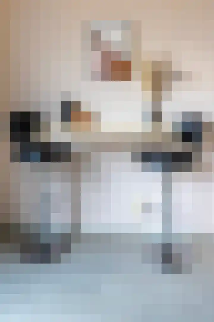 Leigraaf 41 Druten thumbnail 14