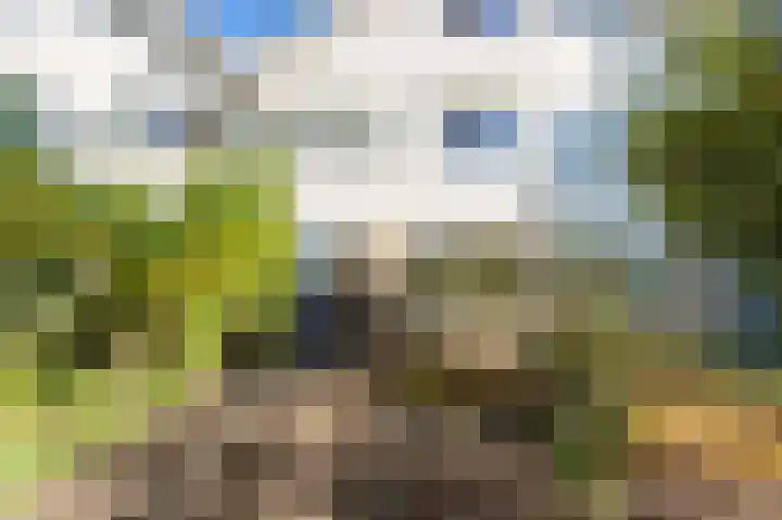 Leigraaf 41 Druten thumbnail 34