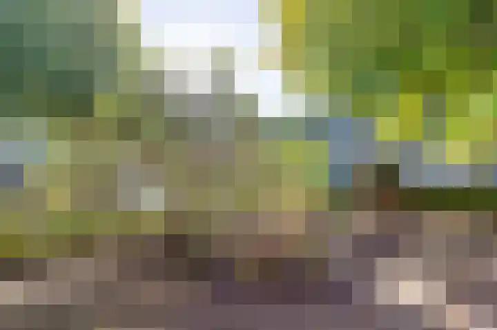 Leigraaf 41 Druten thumbnail 35