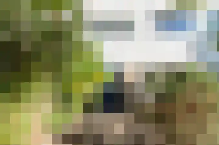 Leigraaf 41 Druten thumbnail 4