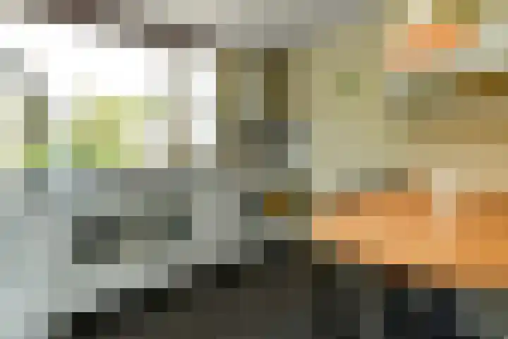 Leigraaf 52 Druten thumbnail 10