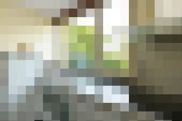 Leigraaf 52 Druten thumbnail 11