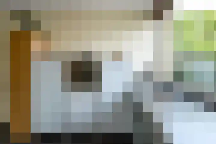 Leigraaf 52 Druten thumbnail 12