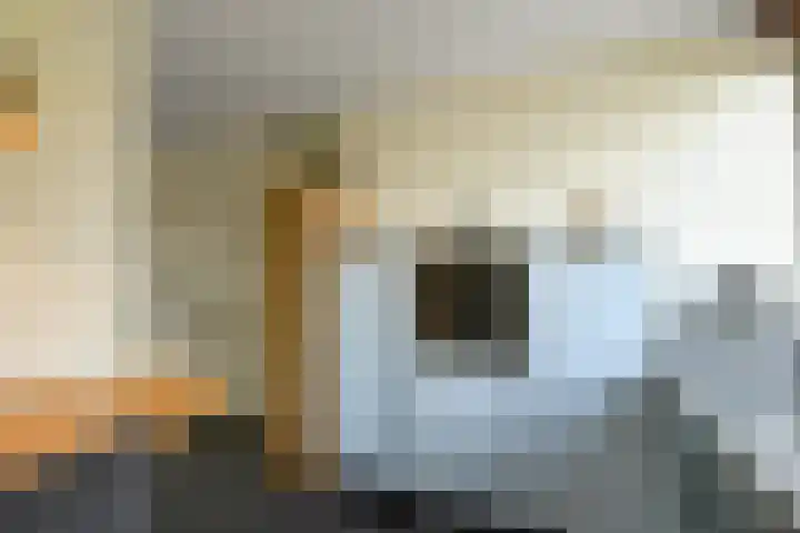 Leigraaf 52 Druten thumbnail 13