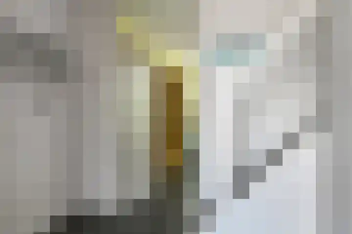 Leigraaf 52 Druten thumbnail 14