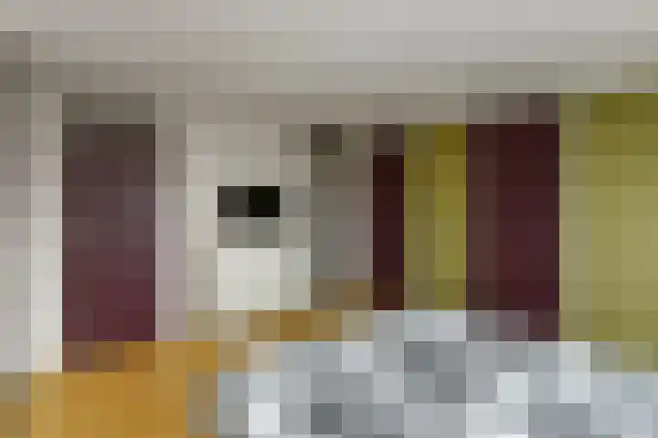 Leigraaf 52 Druten thumbnail 17