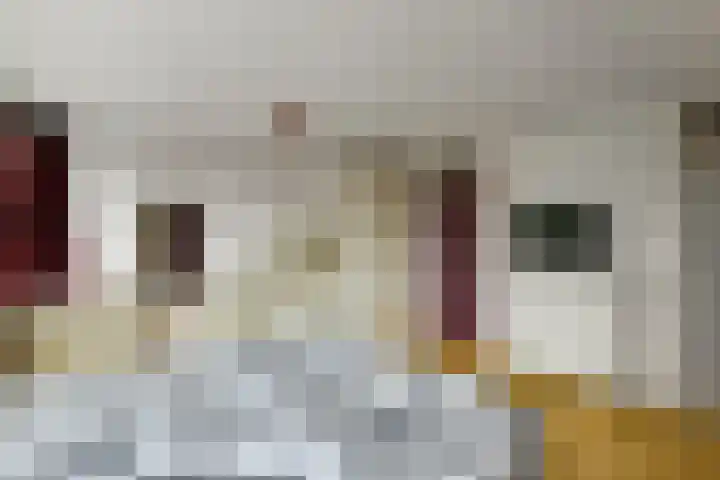 Leigraaf 52 Druten thumbnail 18