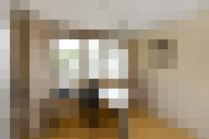 Leigraaf 52 Druten thumbnail 20