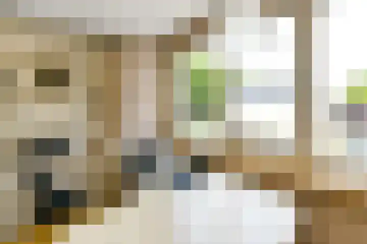 Leigraaf 52 Druten thumbnail 21