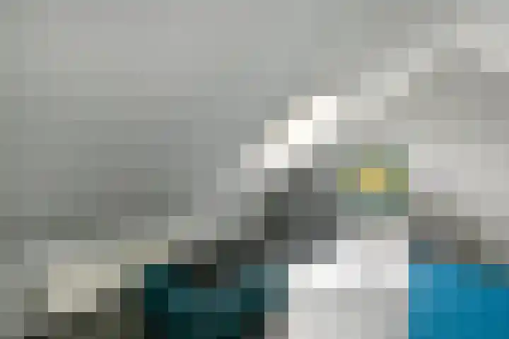 Leigraaf 52 Druten thumbnail 27