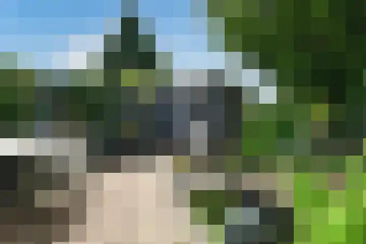 Leigraaf 52 Druten thumbnail 29